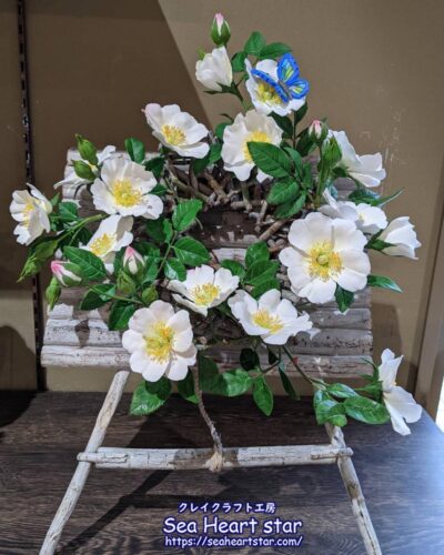 薔薇